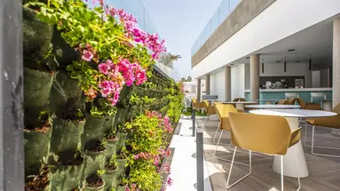 Hotel Taimar