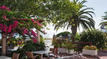Hotel Tara Beach
