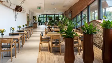 Hotel Termalny