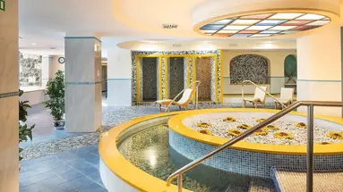 Hotel Terme Alexander