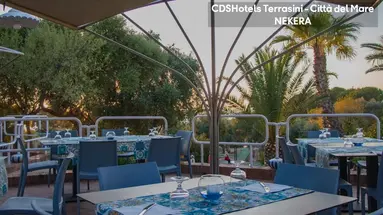 HOTEL TERRASINI