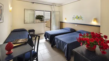 HOTEL TERRASINI