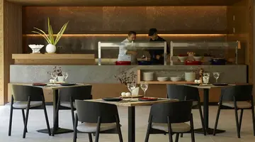 Hotel The Ixian Grand & All Suites