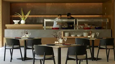 Hotel The Ixian Grand & All Suites