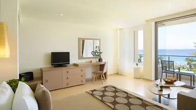 Hotel The Ixian Grand & All Suites