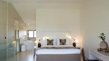 Hotel The Ixian Grand & All Suites