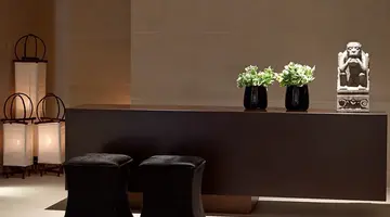 Hotel The Ixian Grand & All Suites