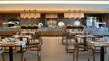 Hotel The Ixian Grand & All Suites