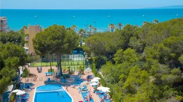 HOTEL TIMOR