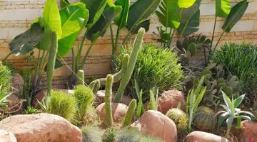 Hotel Timoulay & Spa Agadir