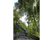 HOTEL TJAMPUHAN SPA