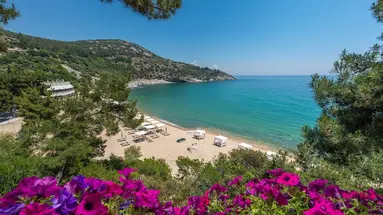 Hotel Tosca Beach