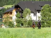 Hotel Trattlerhof