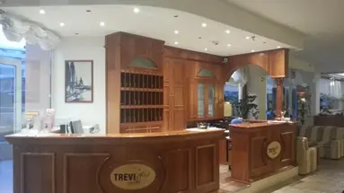 HOTEL TREVI***