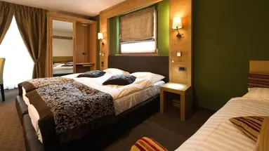 Hotel Vedig