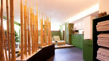 Hotel Vedig