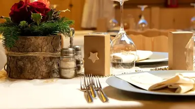 Hotel Vedig