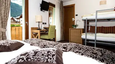 Hotel Vedig