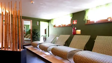 Hotel Vedig