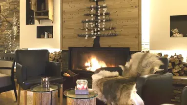 Hotel Vedig