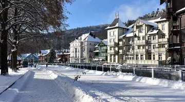 Hotel Victoria Cechini