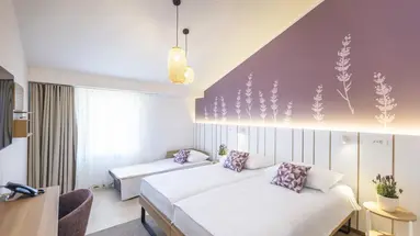 Hotel Vile Park Premium - St. Bernadin Resort