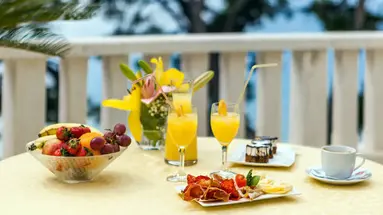 Hotel Villa Bacchus