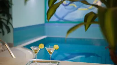 Hotel Villa Bacchus