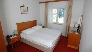 Hotel Villa Dvor