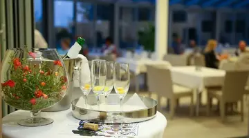 Hotel Villa Radin