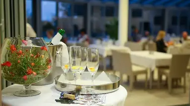 Hotel Villa Radin