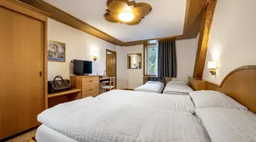 Hotel Vioz