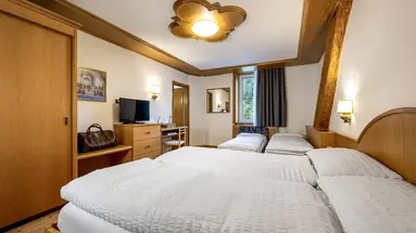 Hotel Vioz