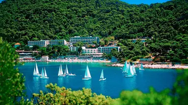 Hotel Vis