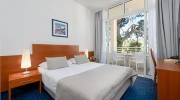 HOTEL VIS***