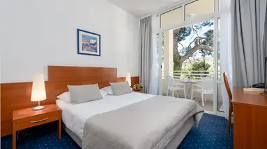 HOTEL VIS***