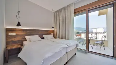 Hotel Vladimir