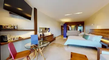 Hotel Xcaret Arte