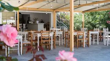 Hotel Zante Plaza