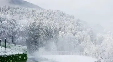 HOTEL ZDRAVILISKI DVOR