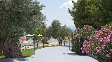 Hotel Zeus Eretria Resort