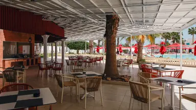 HOUDA YASMINE HAMMAMET