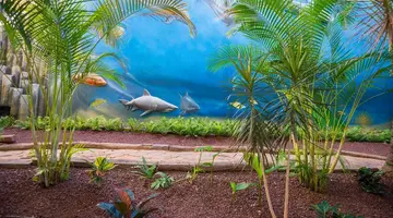 HOVIMA La Pinta Beachfront Family Hotel