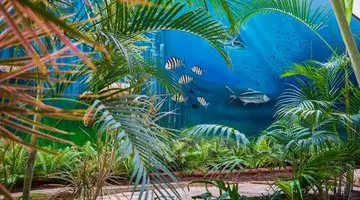HOVIMA La Pinta Beachfront Family Hotel