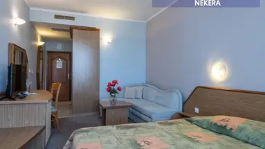 Hrizantema Hotel