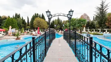 HRIZANTEMA