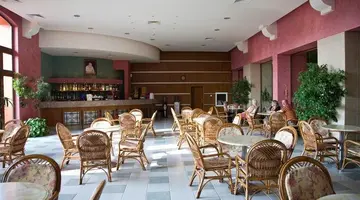 Hrizantema