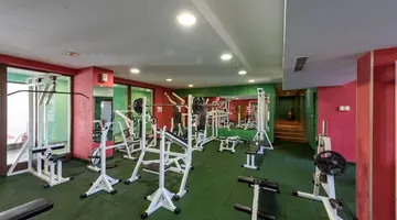 HRIZANTEMA