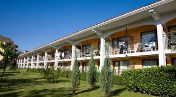HRIZANTEMA