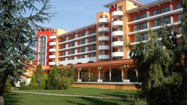 HRIZANTEMA